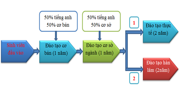 Mô hình đào tạo liên kết thực tập sinh