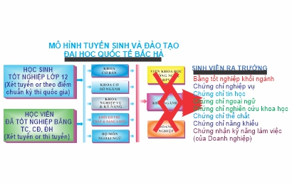 Mô hình tuyển sinh và đào tạo